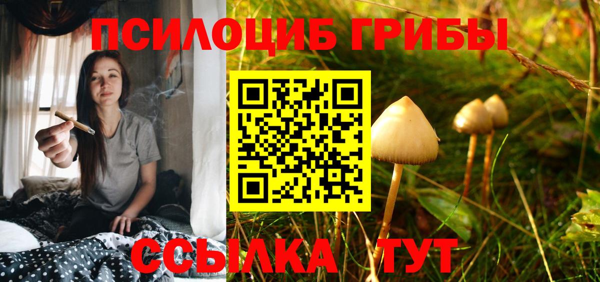 Галлюциногенные грибы прущие грибы Тула